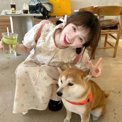 打倒他们